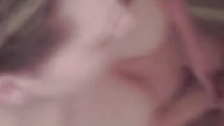 Swallow